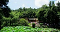 長(zhǎng)沙出發(fā)到花明樓、韶山、張家界國(guó)家森林公園、天門仙山國(guó)家森林公園四日游